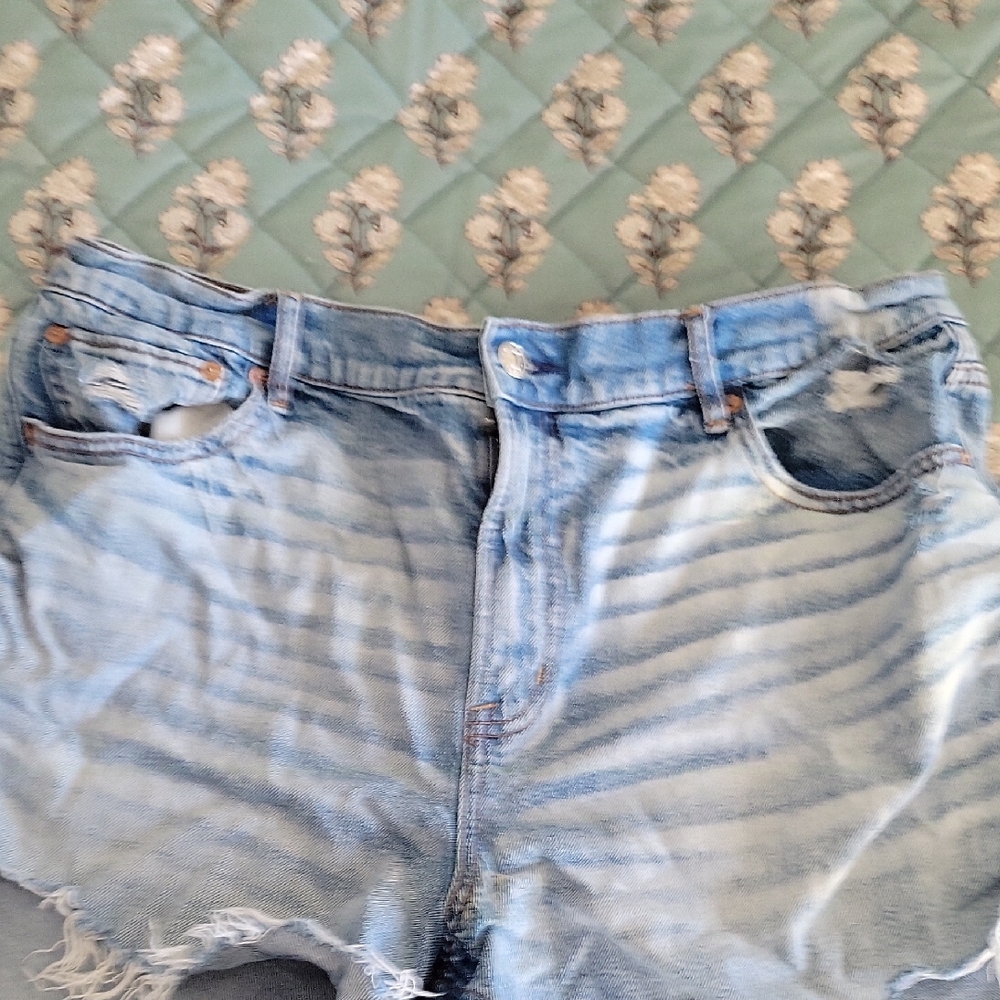 American Eagle Outfitters Light Blue Denim Shorts